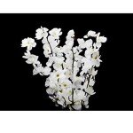 rtificial Long Flower Decorative, Home Office or Gift Wild Artificial Plant | Long Flower for Living Room Home Decor