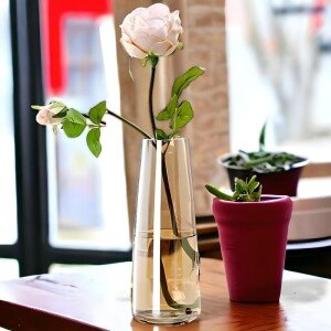 Glass Vase for Home Decor- Decorative Flower Vases for Centerpieces Living Room Kitchen Office Wedding (Gold)