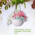 Decorative Hanging Pots with Chain | Home Office or Gift Wild Pot | Flower Hanging Pots for Living Room Home Decor