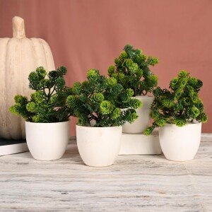 Artificial Plant with Pot | Indoor Bonsai Plant | Mini Rose Plants for Home, Living Room,Kitchen,Washroom and Bathroom