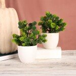 Artificial Plants for Home Decor |Flower Pots for Living Room Home Decor | Home Decor Items for Living Room -Set of 2